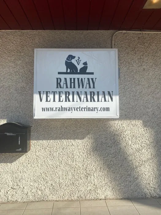 Rahway Veterinarian Picture 10