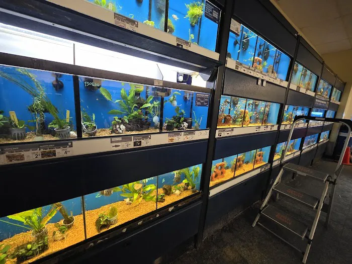 Petco Picture 2