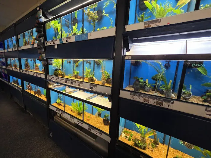 Petco Picture 10