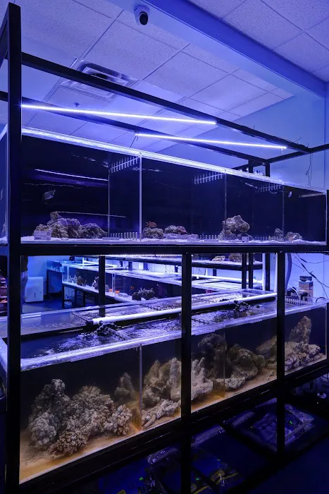 Artistic Aquariums, Inc Picture 1
