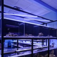 Artistic Aquariums, Inc ico