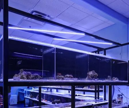 Artistic Aquariums, Inc