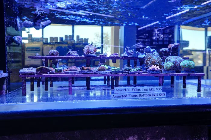 Artistic Aquariums, Inc Picture 2