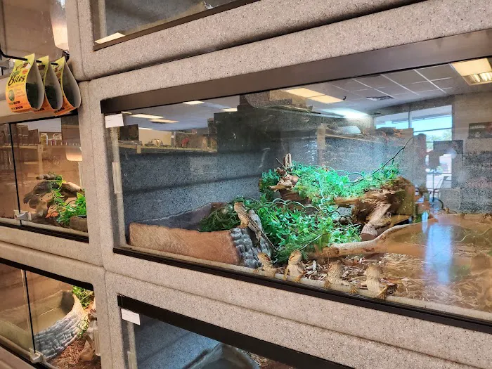 LLLReptile & Supply Chandler Picture 2