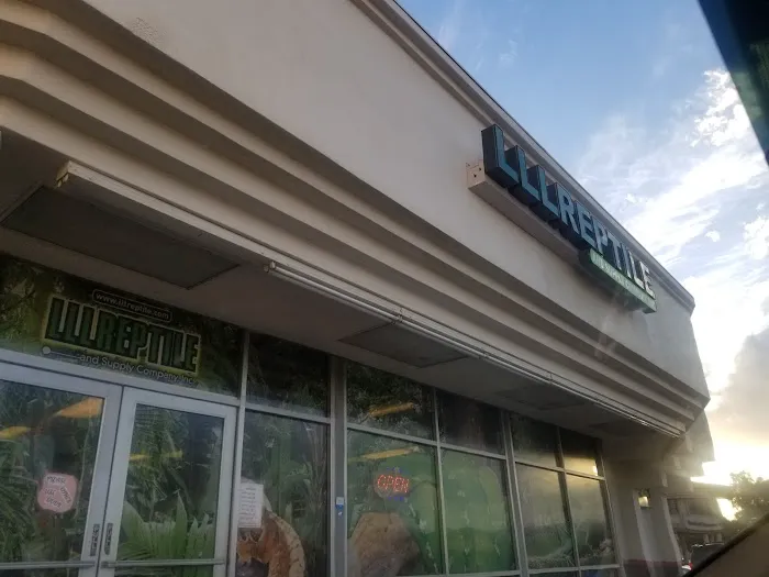 LLLReptile & Supply Chandler Picture 1