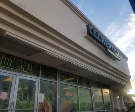 LLLReptile & Supply Chandler