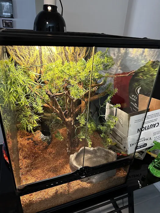 LLLReptile & Supply Chandler Picture 4