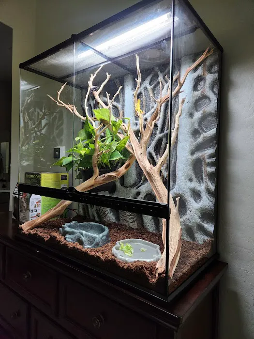 LLLReptile & Supply Chandler Picture 7