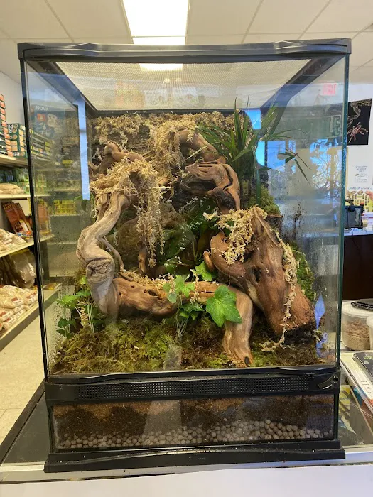 LLLReptile & Supply Chandler Picture 8