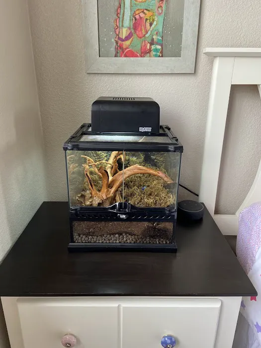 LLLReptile & Supply Chandler Picture 10