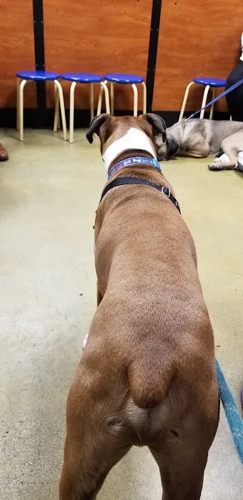Banfield Pet Hospital Picture 6