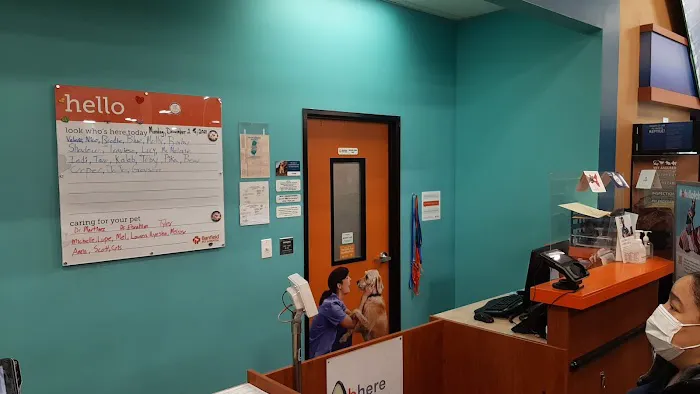 Banfield Pet Hospital Picture 8