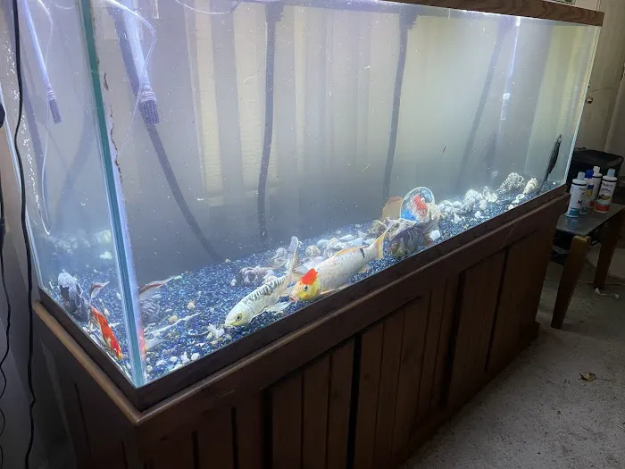 Sea Savvy Aquarium Picture 1