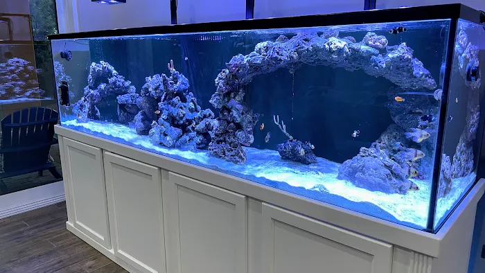 Sea Savvy Aquarium Picture 3