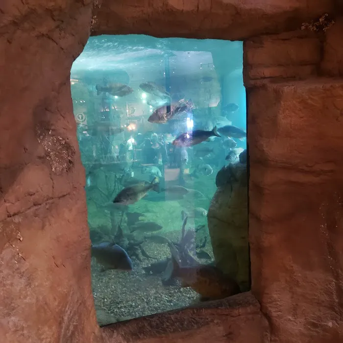 Sea Savvy Aquarium Picture 4
