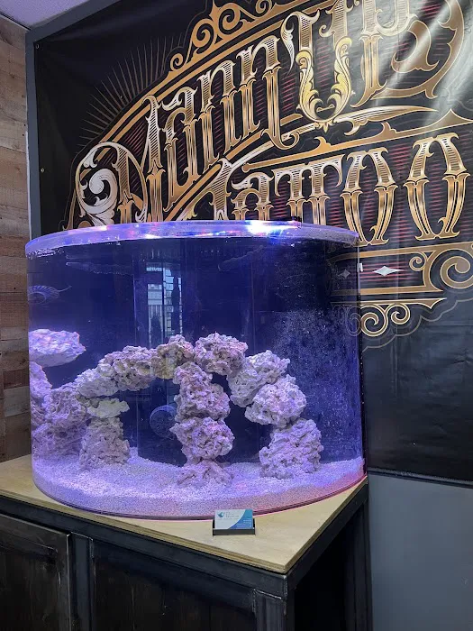 Sea Savvy Aquarium Picture 5
