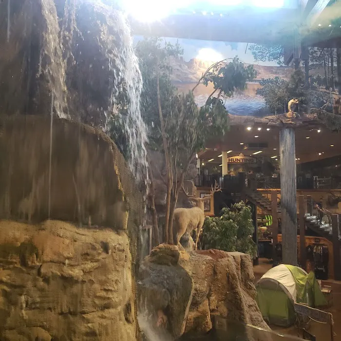Sea Savvy Aquarium Picture 8