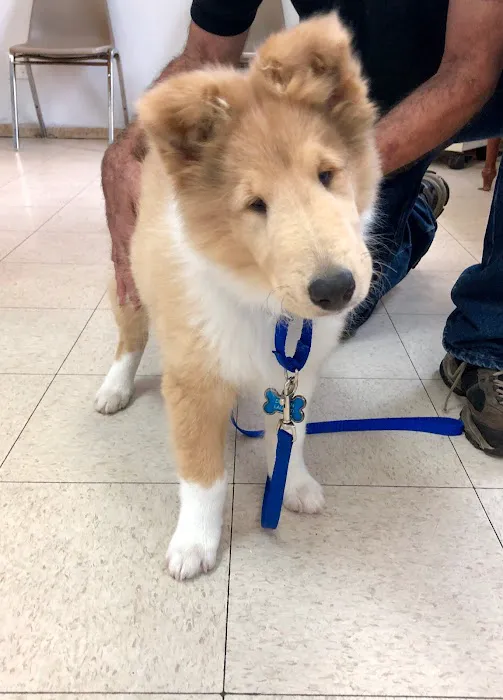 Boulevard Veterinary Clinic Picture 10