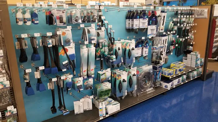 Petco Picture 3