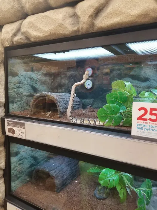 Petco Picture 6