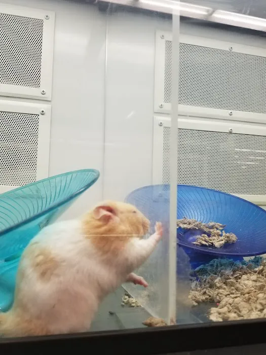 Petco Picture 7