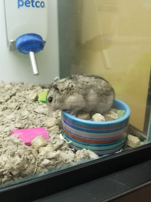 Petco Picture 4