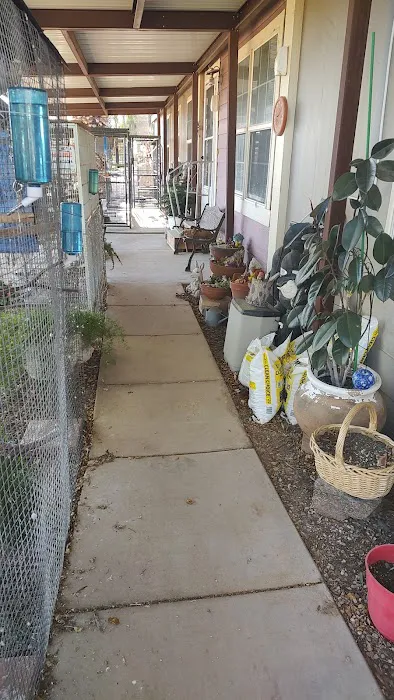 Desert Rose Aviary Picture 2