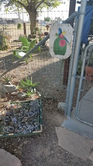 Desert Rose Aviary Picture 3