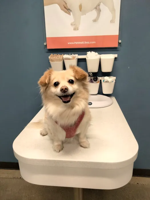 PetWellClinic - Union Picture 8