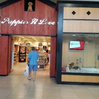 Puppies 'N Love ico