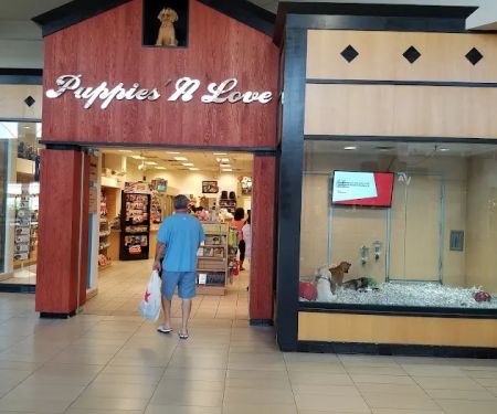 Puppies 'N Love