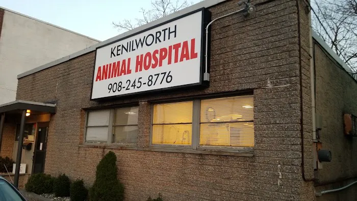 Kenilworth Animal Hospital Picture 6