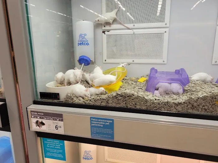 Petco Picture 3