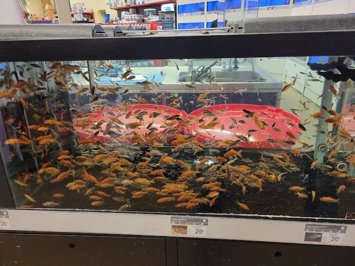 Petco Picture 4