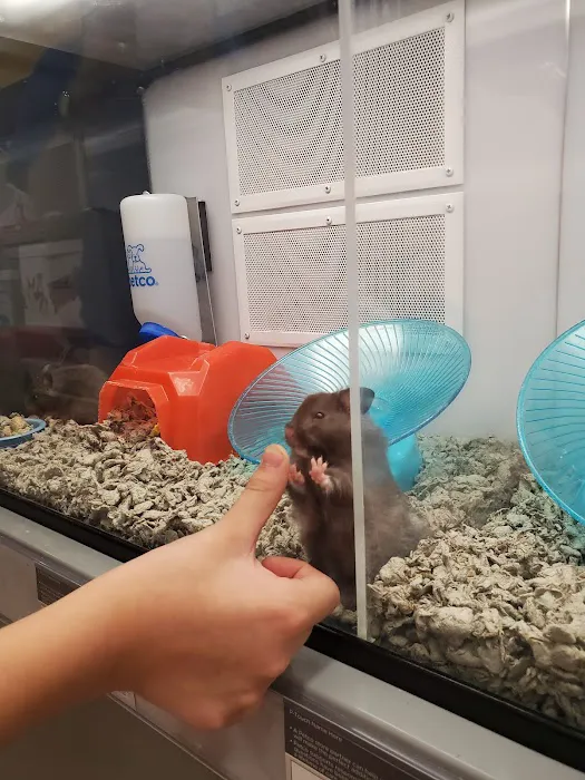 Petco Picture 7