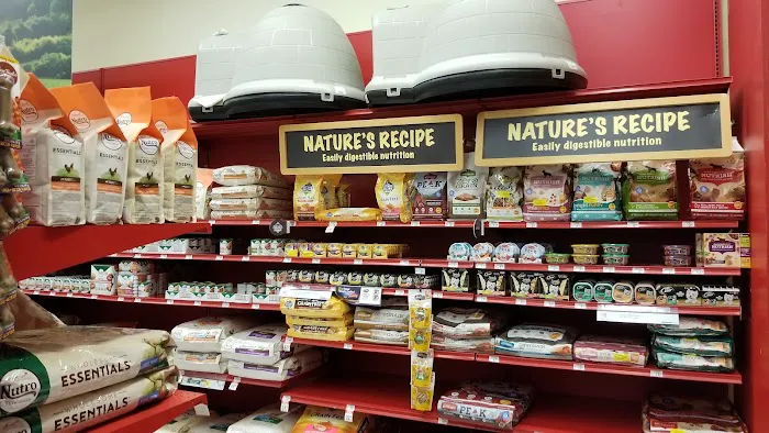 Petco Picture 6