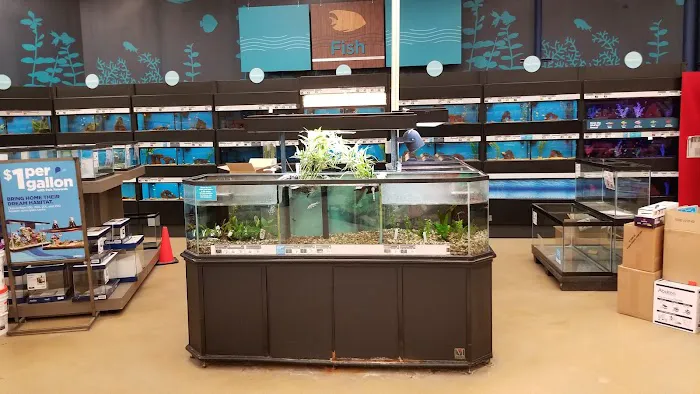 Petco Picture 9