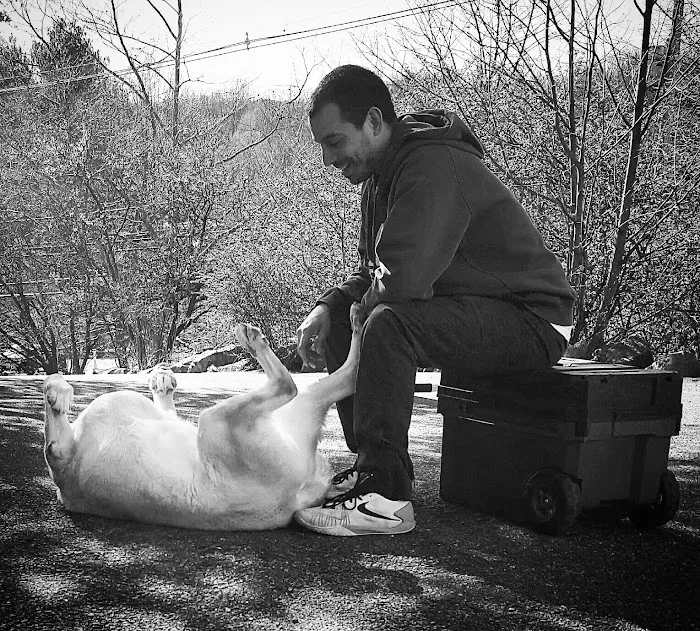 True Monarch In-Home Veterinary Service Picture 8