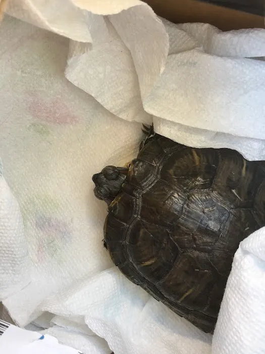 Livingston Animal Hospital Picture 7