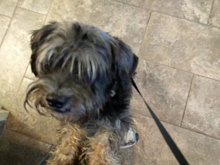 Livingston Animal Hospital Picture 5