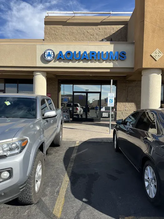 Aquaholic Aquariums LLC Picture 1
