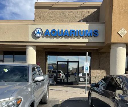 Aquaholic Aquariums LLC