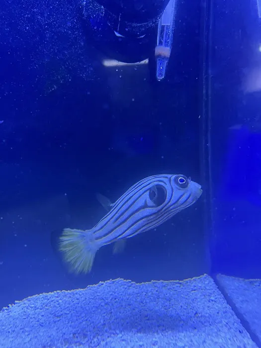 Aquaholic Aquariums LLC Picture 5