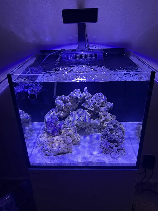 Aquaholic Aquariums LLC Picture 2