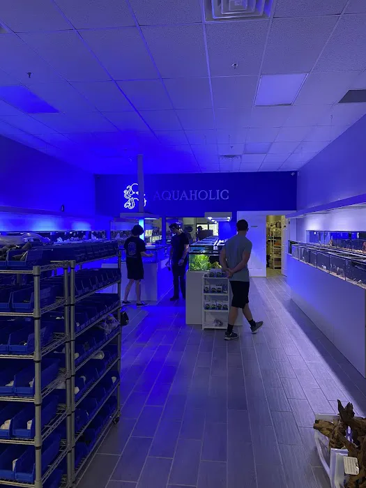 Aquaholic Aquariums LLC Picture 3