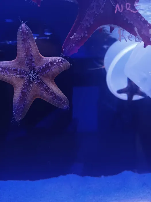Aquaholic Aquariums LLC Picture 9