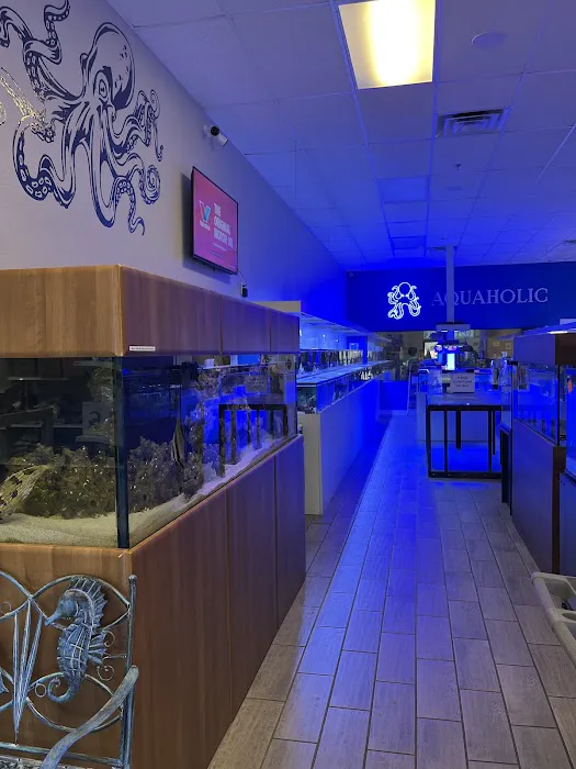 Aquaholic Aquariums LLC Picture 8