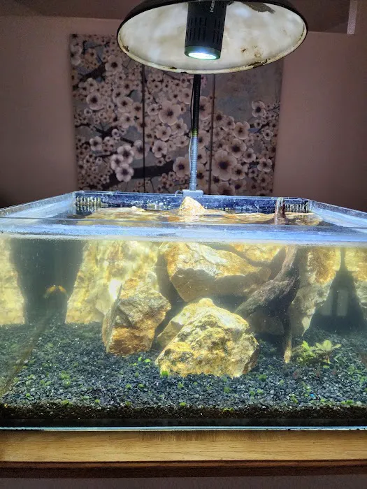 Aquaholic Aquariums LLC Picture 6