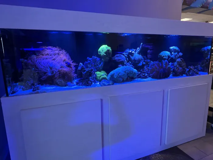 Aquaholic Aquariums LLC Picture 10