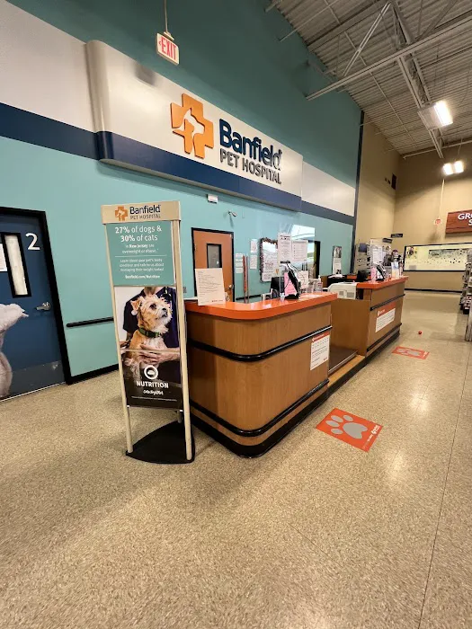 Banfield Pet Hospital Picture 3
